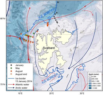 Net Community Production and Carbon Exchange From Winter to Summer in the Atlantic Water Inflow to the Arctic Ocean